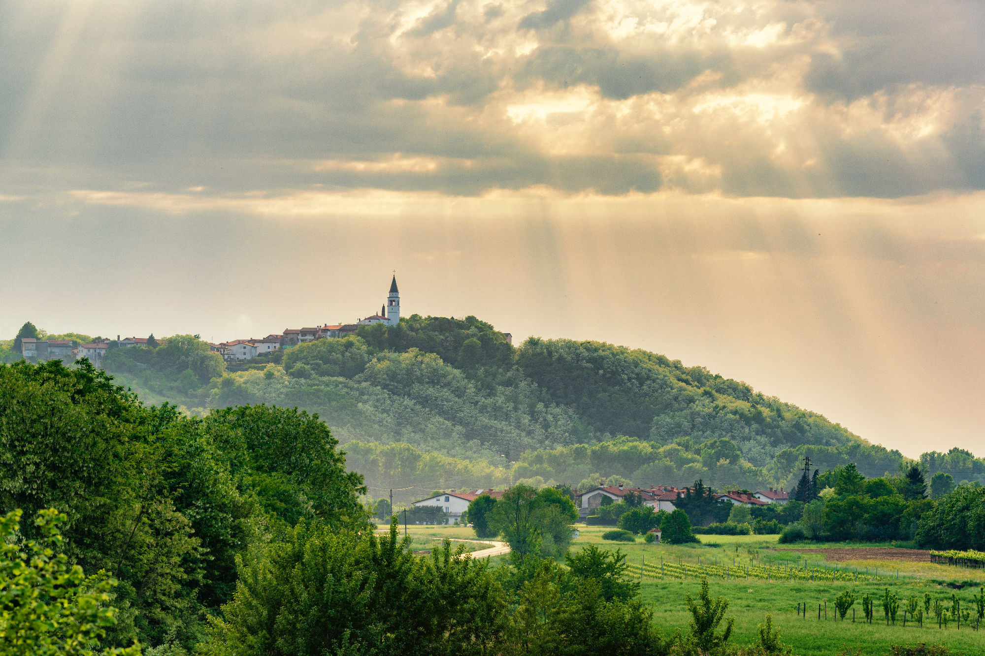 Doživetje, ki ga je nudila Vipavska dolina je bilo prekrasno